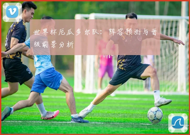 世界杯厄瓜多尔队:阵容预测与晋级前景分析