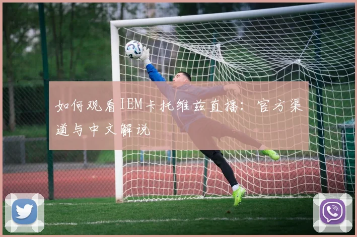 如何观看IEM卡托维兹直播：官方渠道与中文解说
